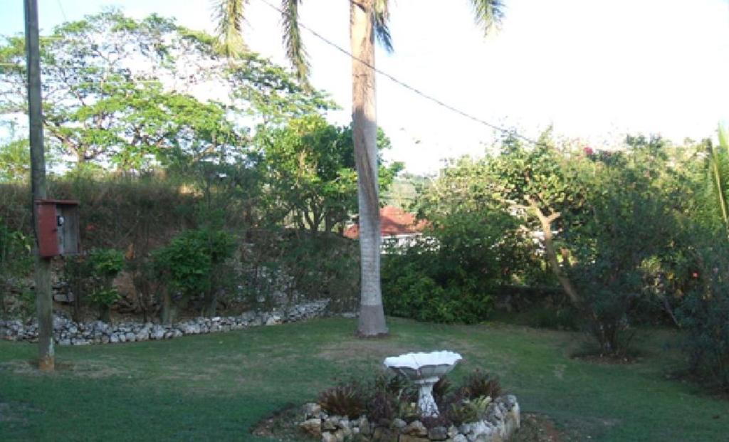 Verney House Resort Montego Bay Buitenkant foto